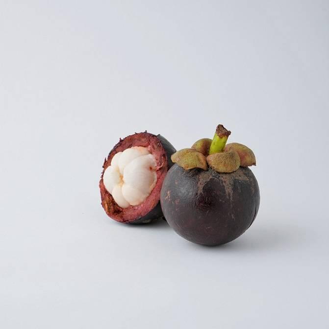 Mangosteen - Image 4