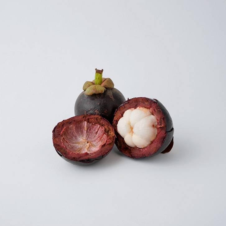 Mangosteen - Image 3