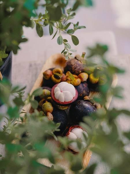 Mangosteen - Image 6