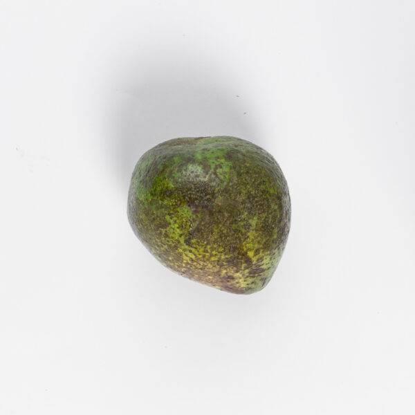 INDIAN AVOCADO - Image 4