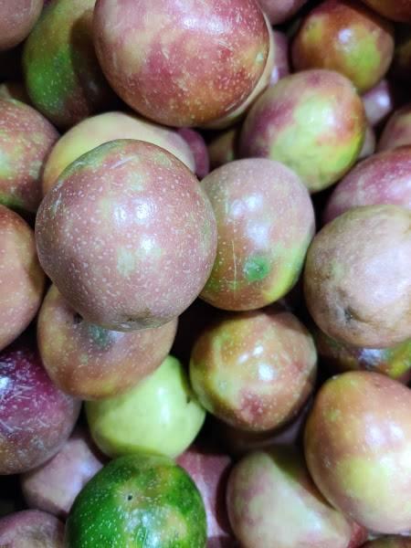 Pink Passion Fruit - Image 6