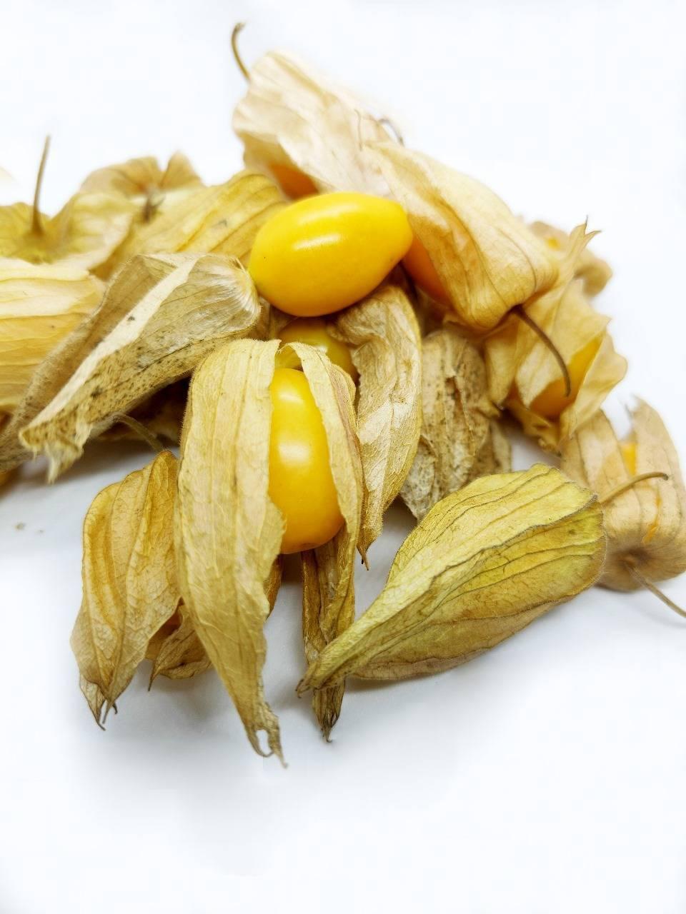 Rashbhari (Goldenberry)